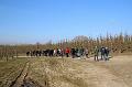 Winterwandeling 13-3-2016 org. M & J Menten (22)